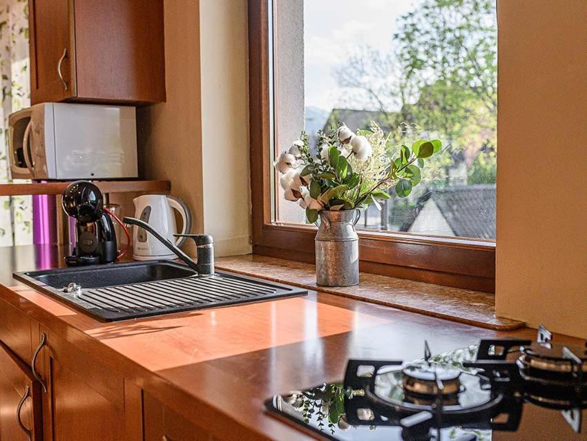 Visitzakopane - Apartament Rodzinny Экстерьер фото